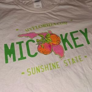 Disney Mickey Florida License Plate Tee